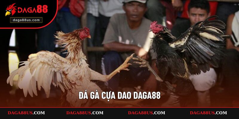 Đá gà cựa dao DAGA88 là loại hình chọi gà được rất nhiều người yêu thích. Với chất lượng phát sóng tốt, đảm bảo người xem sẽ cảm thấy mãn nhãn.