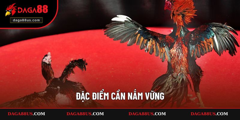 Đặc điểm cần nắm vững