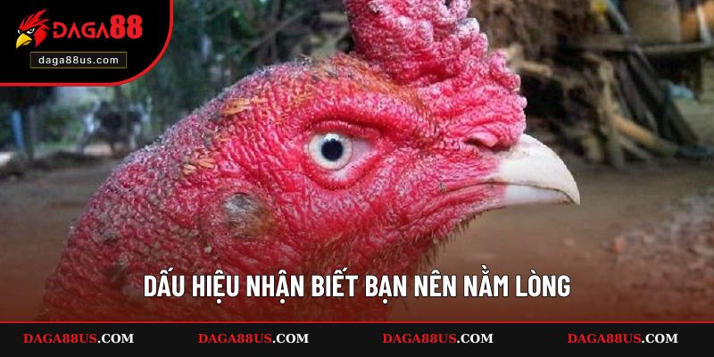 Dấu hiệu nhận biết bạn nên nằm lòng