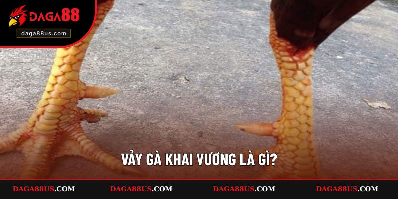 Định nghĩa về vảy gà Khai Vương là gì
