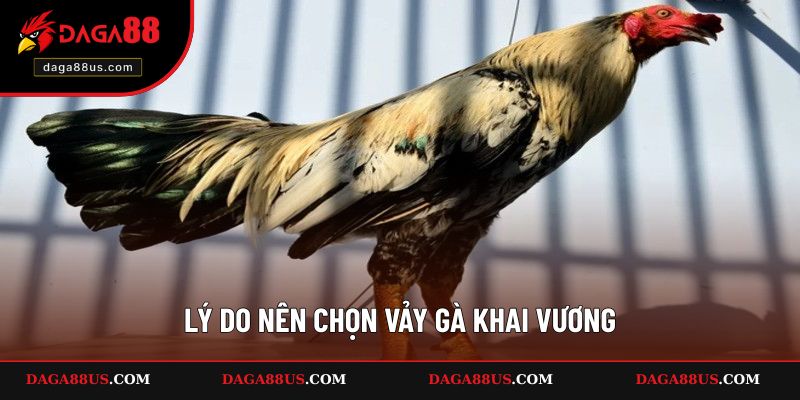 Lý do nên chọn vảy gà Khai Vương