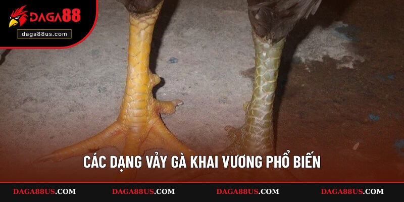 Một vài dạng thường gặp ngoài đời thực